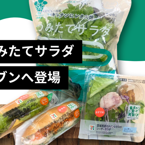 【まさに令和の畑！】美里グリーンベースのレタスがセブン-イレブンに登場！！