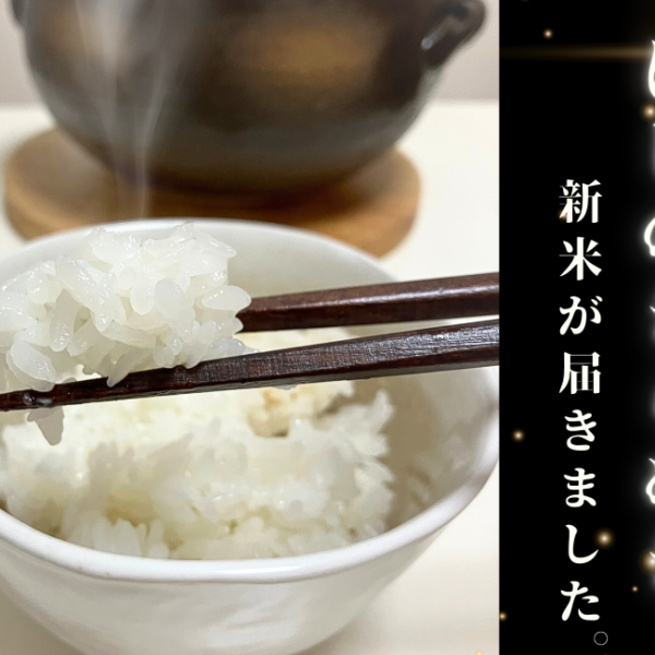 【新米の季節がやってきた】舞台の農場で育てた「にじのきらめき」をいただきました！